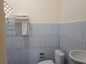 a bathroom with a white toilet and a sink at Adila Warung and Homestay in Munduk
