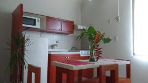 Virtuvė arba virtuvėlė apgyvendinimo įstaigoje Departamentos de la Reina Roja