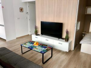TV a/nebo společenská místnost v ubytování Little Romance in Bratislava