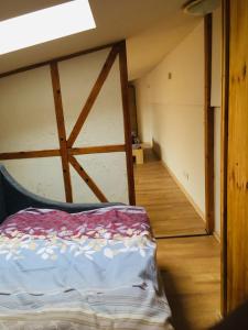 Zimmer mit einer Scheunentür und einem Bett in der Unterkunft Ferienwohnung am Nürburgring/Wintersport Arft in Acht