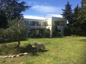 Gallery image of chambre d'hôtes Villa Côte Vermeille in Argelès-sur-Mer