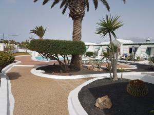 un complejo con palmeras y piscina en Bungalows Doble UVE en Tías