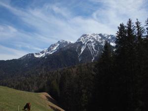 Berggasthof Trattes