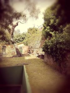 een uitzicht op een park met een boom en een muur bij Hotel Villa Belvedere in Bonassola