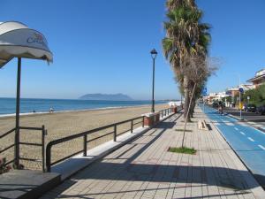 un marciapiede accanto a una spiaggia con una palma di Luminoso Appartamento A 80 Metri dal Mare a Terracina