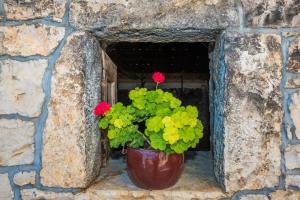 Fotografie z fotogalerie ubytování Villa Petrovi Dvori ZadarVillas v destinaci Benkovac