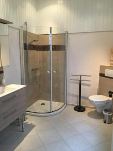 uma casa de banho com um chuveiro e um WC. em Ferien auf traumhaftem Resthof em Twedt