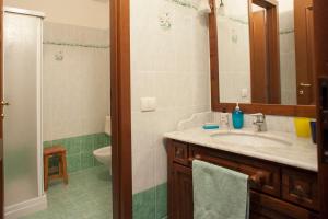 a bathroom with a sink and a toilet and a mirror at Le Terrazze di katia apartment in Riomaggiore