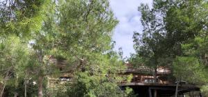 a building with a bridge in the middle of trees at Lodge entre ciel et mer in Saint-Cyr-sur-Mer