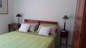 een slaapkamer met een groen bed met 2 kussens bij B&B Villa Ada in Formia