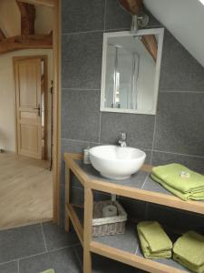 ein Bad mit einem Waschbecken und einem Spiegel in der Unterkunft La Vannerie in Origny-en-Thiérache