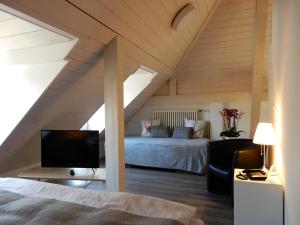 a bedroom with a bed and a tv in a attic at Hôtel de l'Ecluse in Neuchâtel