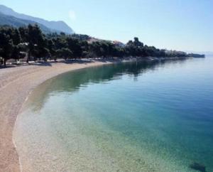 a view of a beach with trees and the water at Villa Grgo Apartments in Tučepi