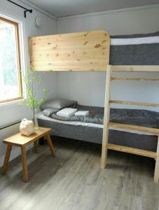 a bedroom with a bunk bed and a ladder at Ålebro stugby in Norrhult