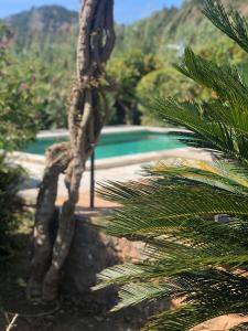 The swimming pool at or close to Ses llimoneres