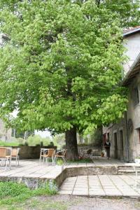 Zahrada ubytování Auberge du Précontent