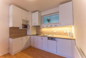 特熱邦的住宿－Apartmán U Lázní D23，厨房配有白色橱柜和窗户。