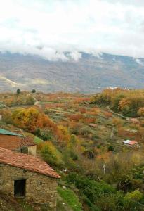 a view of a valley with trees and a building at CR La Cueva CR-CC-00114 in Casas del Castañar