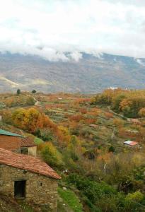 Gallery image of Casa Rural La Cueva in Casas del Castañar