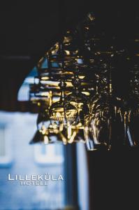 Fotografie z fotogalerie ubytování Lilleküla Hotel v Tallinnu