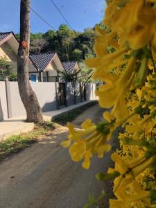 Fotografie z fotogalerie ubytování The Temak Villa v destinaci Pantai Cenang
