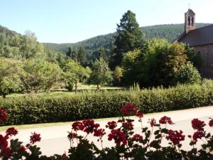 un jardín con flores frente a un edificio en Ferienwohnung ENZTALPERLE, en Enzklösterle