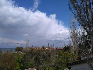 una vista su un cielo azzurro con nuvole e alberi di 9 Musses Hotel Apartments a Skala Mistegnon