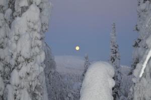 Rukajärven Kelopirtit Cottages en invierno