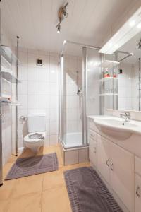 ein Bad mit einem WC, einem Waschbecken und einer Dusche in der Unterkunft Haus Moosmann in Schröcken
