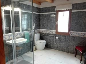 y baño con aseo, lavabo y ducha. en Casa de aldea Amezaga, en Taramundi