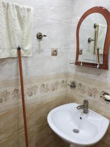 un bagno con un lavandino bianco e uno specchio di Сергей Сергеевич a Akhaltsikhe Altre 22 foto
