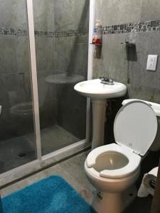 y baño con ducha, aseo y lavamanos. en Apartamento&Habitación Galeana, en Ciudad Valles
