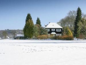 スパにあるFabulous Mansion in Spa Liege with private gardenの雪原の上に座る家