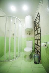 a green bathroom with a toilet and a shower at Karpatski Polonyny in Urych