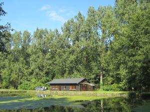 een hut in het bos naast een meer bij Beautiful Holiday Home in Braibant in Braibant