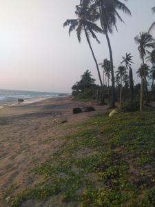 a beach with palm trees and the ocean at VILLA ARIANNA in Wattala