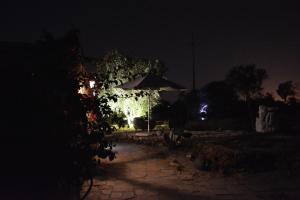 A garden outside MMiriusa