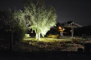 A garden outside MMiriusa