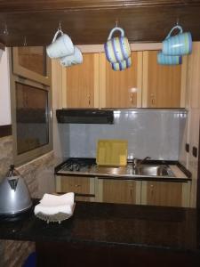 Kuchyň nebo kuchyňský kout v ubytování Viccini Suites