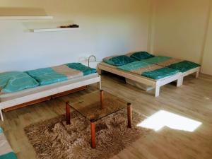 two twin beds in a room with a rug at Apartmán Pavlenka in Hustopeče