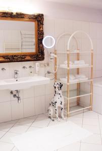 a bathroom with a dog sitting on the floor next to a sink at Stadthotel Restaurant Auerhahn in Vöcklabruck