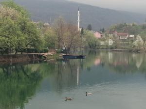 two ducks swimming in a lake with a town in the background at Amina River Apartment in Bihać