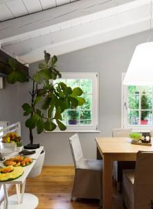 une salle à manger avec une table et une plante dans l'établissement Hotel Village, à Aoste