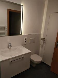 bagno con lavandino, servizi igienici e specchio di Ferienwohnung Julius a Innsbruck