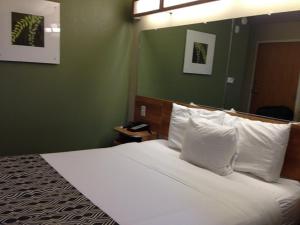 a white bed sitting in a bedroom next to a window at Microtel Inn & Suites by Wyndham Saraland in Saraland