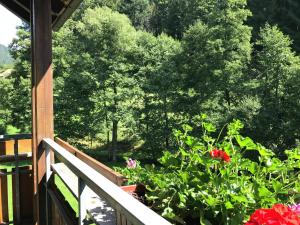 a balcony with a view of a garden with red flowers at Comfortable apartment in Baiersbronn with balcony in Buhlbach