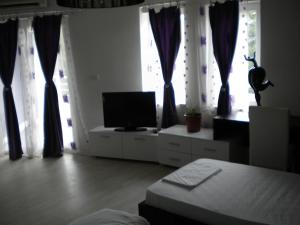 a living room with a tv and some windows at Hotel Leder in Kočani