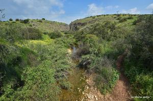 Gallery image of אחוזת מול כנרת in Livnim +58 photos