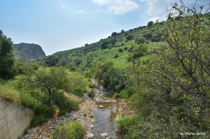 Gallery image of אחוזת מול כנרת in Livnim