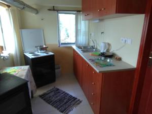 a small kitchen with a sink and a stove at Garden Of Olive Trees in AsfendhilÃ©s